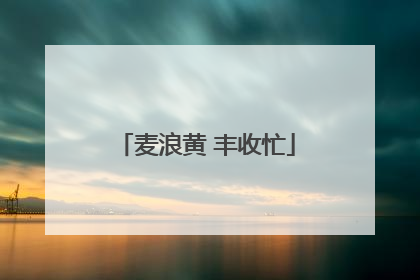 麦浪黄 丰收忙