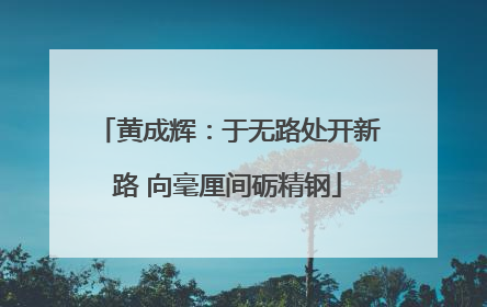 黄成辉：于无路处开新路 向毫厘间砺精钢