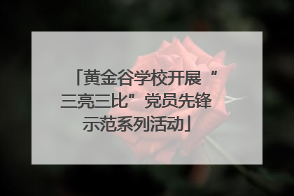 黄金谷学校开展“三亮三比”党员先锋示范系列活动