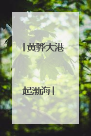 黄骅大港起渤海