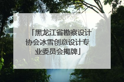 黑龙江省勘察设计协会冰雪创意设计专业委员会揭牌