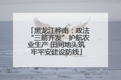 黑龙江桦南：政法“三箭齐发”护航农业生产 田间地头筑牢平安建设防线