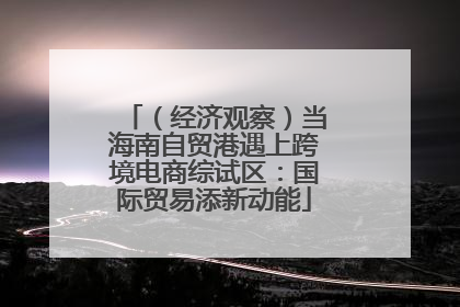 （经济观察）当海南自贸港遇上跨境电商综试区：国际贸易添新动能