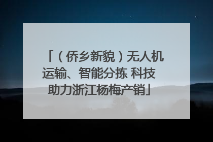 （侨乡新貌）无人机运输、智能分拣 科技助力浙江杨梅产销