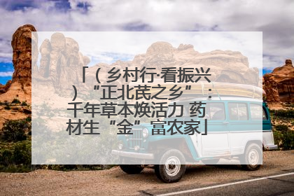 （乡村行·看振兴）“正北芪之乡”：千年草本焕活力 药材生“金”富农家
