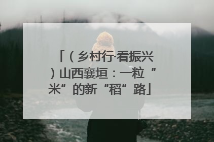 （乡村行·看振兴）山西襄垣：一粒“米”的新“稻”路