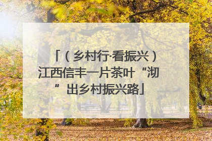 （乡村行·看振兴）江西信丰一片茶叶“沏”出乡村振兴路