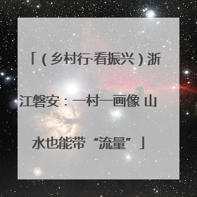 （乡村行·看振兴）浙江磐安：一村一画像 山水也能带“流量”