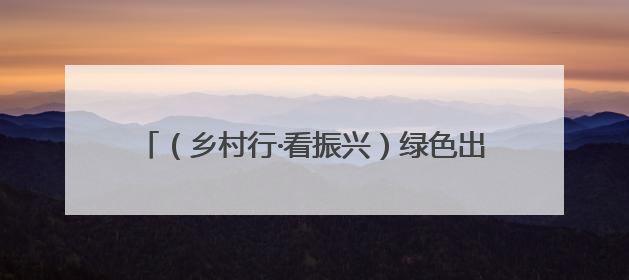 （乡村行·看振兴）绿色出行催生“绿色收益” 浙江瑞安“村企联合体”促共富