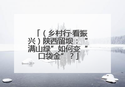 （乡村行·看振兴）陕西留坝：“满山绿”如何变“口袋金”？
