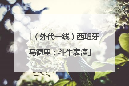 （外代一线）西班牙马德里：斗牛表演