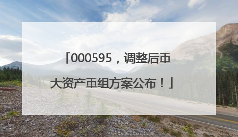 000595，调整后重大资产重组方案公布！