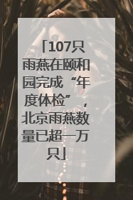 107只雨燕在颐和园完成“年度体检”，北京雨燕数量已超一万只