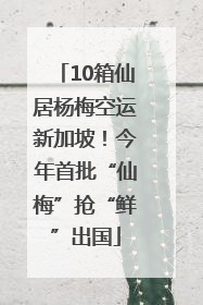 10箱仙居杨梅空运新加坡！今年首批“仙梅”抢“鲜”出国