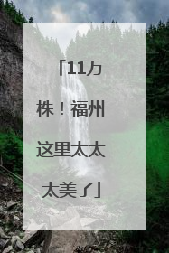 11万株！福州这里太太太美了