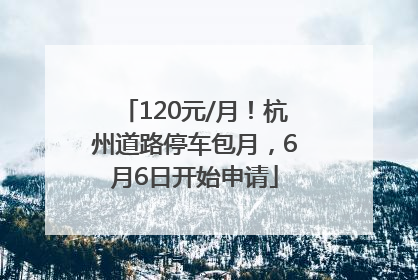 120元/月！杭州道路停车包月，6月6日开始申请
