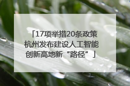 17项举措20条政策 杭州发布建设人工智能创新高地新“路径”