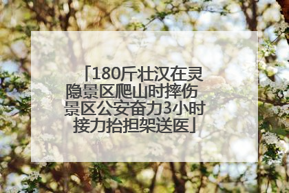 180斤壮汉在灵隐景区爬山时摔伤 景区公安奋力3小时接力抬担架送医
