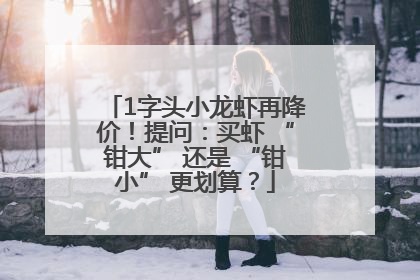 1字头小龙虾再降价！提问：买虾 “钳大” 还是 “钳小” 更划算？