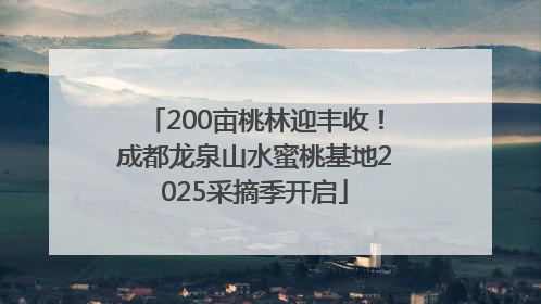 200亩桃林迎丰收！成都龙泉山水蜜桃基地2025采摘季开启