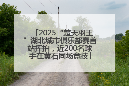 2025“楚天羽王”湖北城市俱乐部赛首站挥拍，近200名球手在黄石同场竞技