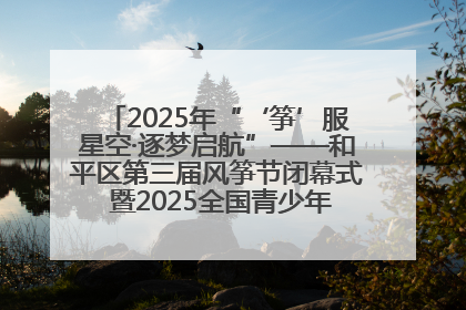 2025年“‘筝’服星空·逐梦启航”——和平区第三届风筝节闭幕式 暨2025全国青少年风筝制作放飞赛（沈阳站）颁奖仪式
