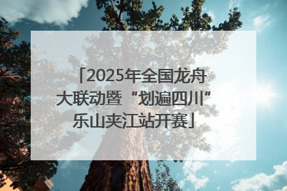 2025年全国龙舟大联动暨“划遍四川”乐山夹江站开赛