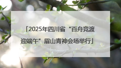2025年四川省“百舟竞渡迎端午”眉山青神会场举行