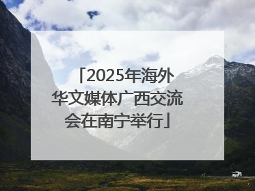 2025年海外华文媒体广西交流会在南宁举行