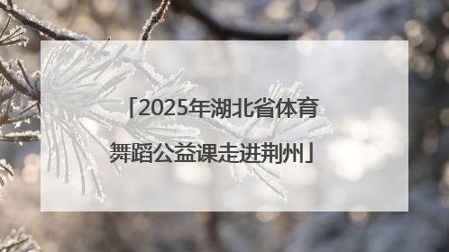 2025年湖北省体育舞蹈公益课走进荆州
