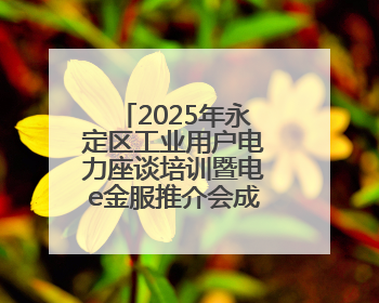 2025年永定区工业用户电力座谈培训暨电e金服推介会成功举办
