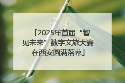 2025年首届“智见未来”数字文旅大赛在西安圆满落幕
