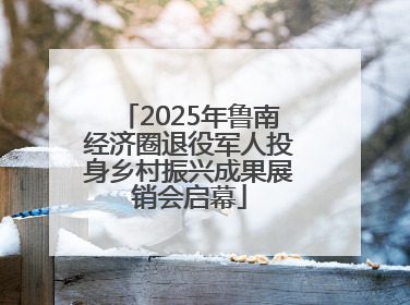 2025年鲁南经济圈退役军人投身乡村振兴成果展销会启幕