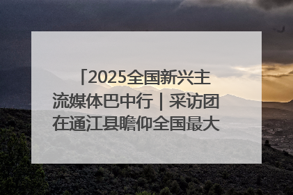 2025全国新兴主流媒体巴中行｜采访团在通江县瞻仰全国最大红军烈士陵园