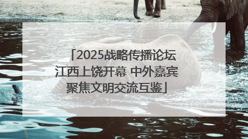 2025战略传播论坛江西上饶开幕 中外嘉宾聚焦文明交流互鉴