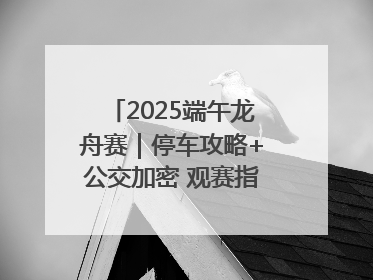 2025端午龙舟赛｜停车攻略+公交加密 观赛指南来了！