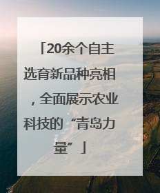 20余个自主选育新品种亮相，全面展示农业科技的“青岛力量”