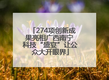 274项创新成果亮相广西南宁 科技“盛宴”让公众大开眼界