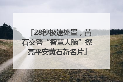 28秒极速处置，黄石交警“智慧大脑”擦亮平安黄石新名片