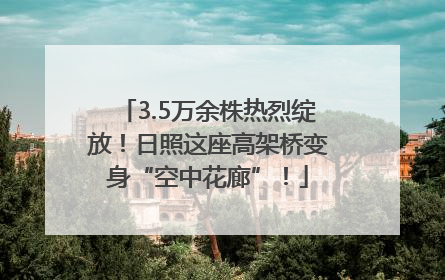 3.5万余株热烈绽放！日照这座高架桥变身“空中花廊”！