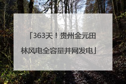 363天！贵州金元田林风电全容量并网发电