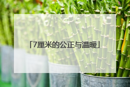 7厘米的公正与温暖