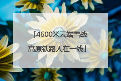 4600米云端雪战 高原铁路人在一线