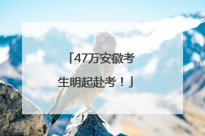 47万安徽考生明起赴考！