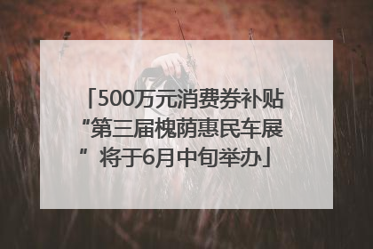 500万元消费券补贴 “第三届槐荫惠民车展”将于6月中旬举办