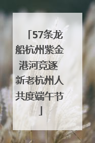 57条龙船杭州紫金港河竞逐 新老杭州人共度端午节