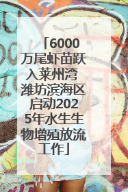 6000万尾虾苗跃入莱州湾 潍坊滨海区启动2025年水生生物增殖放流工作