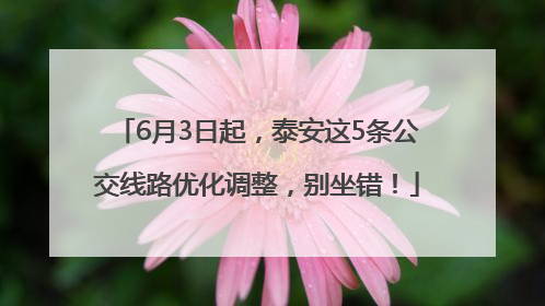6月3日起，泰安这5条公交线路优化调整，别坐错！
