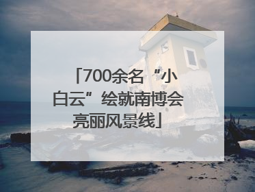 700余名“小白云”绘就南博会亮丽风景线