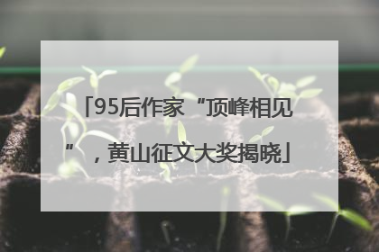 95后作家“顶峰相见”，黄山征文大奖揭晓